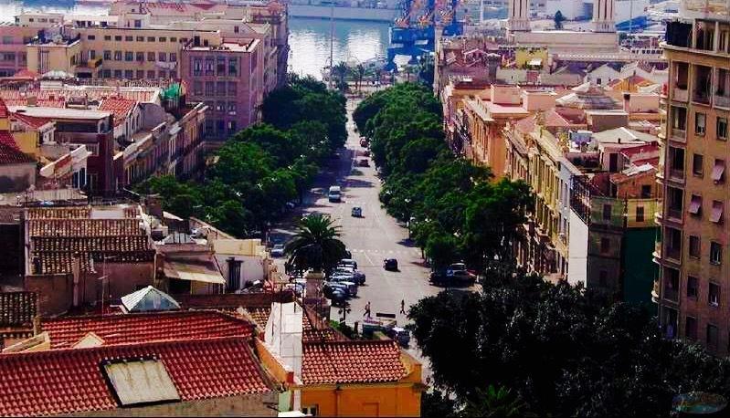 Appartamenti Le Rondini Cagliari Pokój zdjęcie